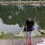 2025.6.8-9【イカメタル開幕】