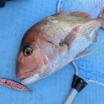 2025.11.22,24【萩支部】【志摩支部】