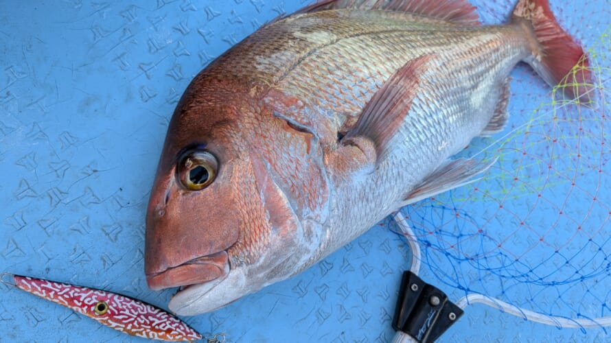 2025.11.22,24【萩支部】【志摩支部】