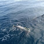 2026.4.12【長潮24.0】