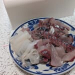 最近の釣果